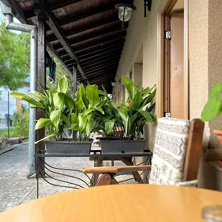 Lotus Family - Free Parking 3* Sunny Beach