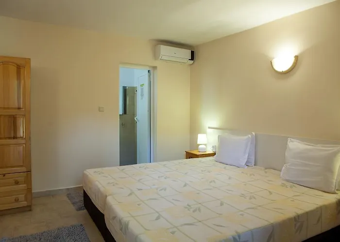 Lotus Family - Free Parking 3*