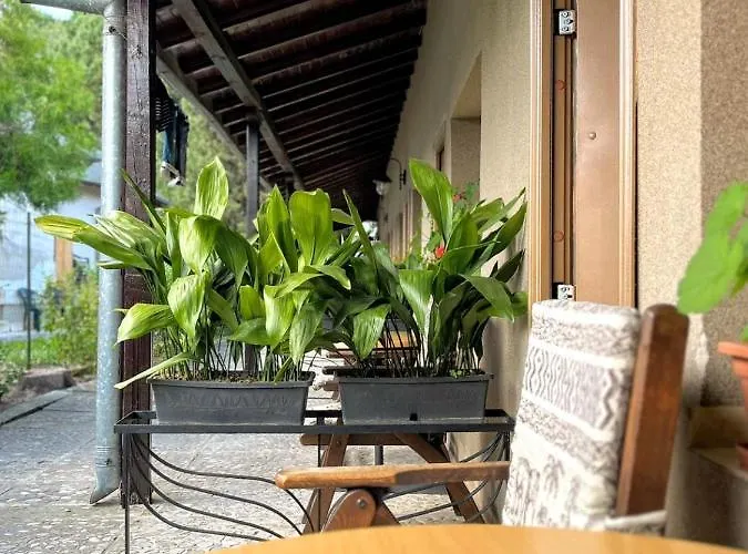 Lotus Family - Free Parking 3* Sunny Beach